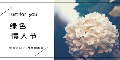 8月双情人节较佳微信营销活动
